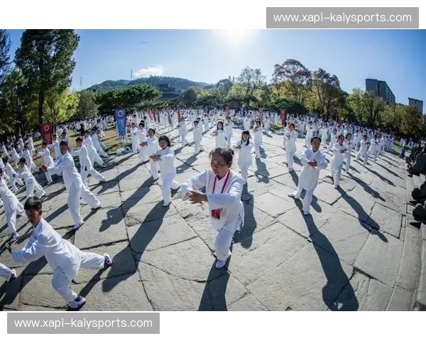 搏击狂潮与太极之韵：当速度与力量遭遇智慧与柔韧